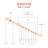 奇美DHS高音德式竖笛6孔8孔学生儿童初学者六孔八孔成人笛子乐器 八孔竖笛标配+教材