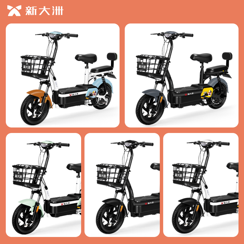 PALLA电动车 战神洲洲 新国标48V20ah大容量电瓶车代步车电动自行车 钻白