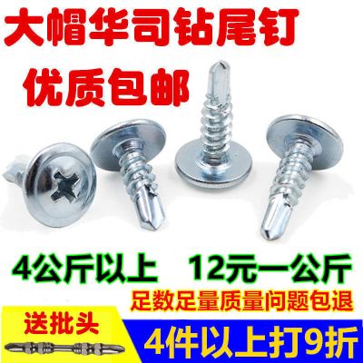 镀锌大扁头钻尾螺丝自攻螺丝燕尾钉彩钢瓦铁皮自功攻螺丝国标 4.2*13(100颗)送批头