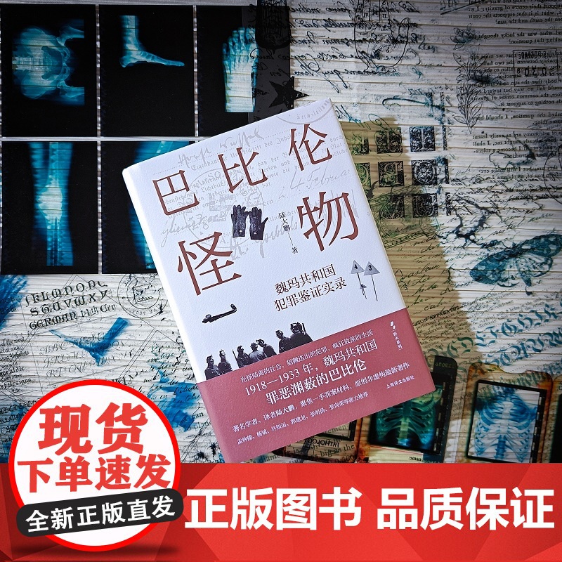 巴比伦怪物:魏玛共和国犯罪鉴证实录 野火系列 陆大鹏 著 魏玛德国 犯罪题材 原创非虚构 第三帝国 欧洲近现代史 上海译高清大图