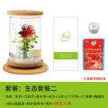 斗鱼生态瓶封闭小鱼瓶免换水瓶装观赏鱼玻璃桌面透明微景观鱼小型_1 默认尺寸 旋转鱼缸-生态套餐二