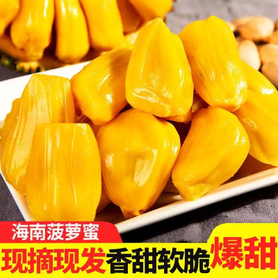 海南菠萝蜜整个新鲜直发27-30斤三亚水果非进口红肉