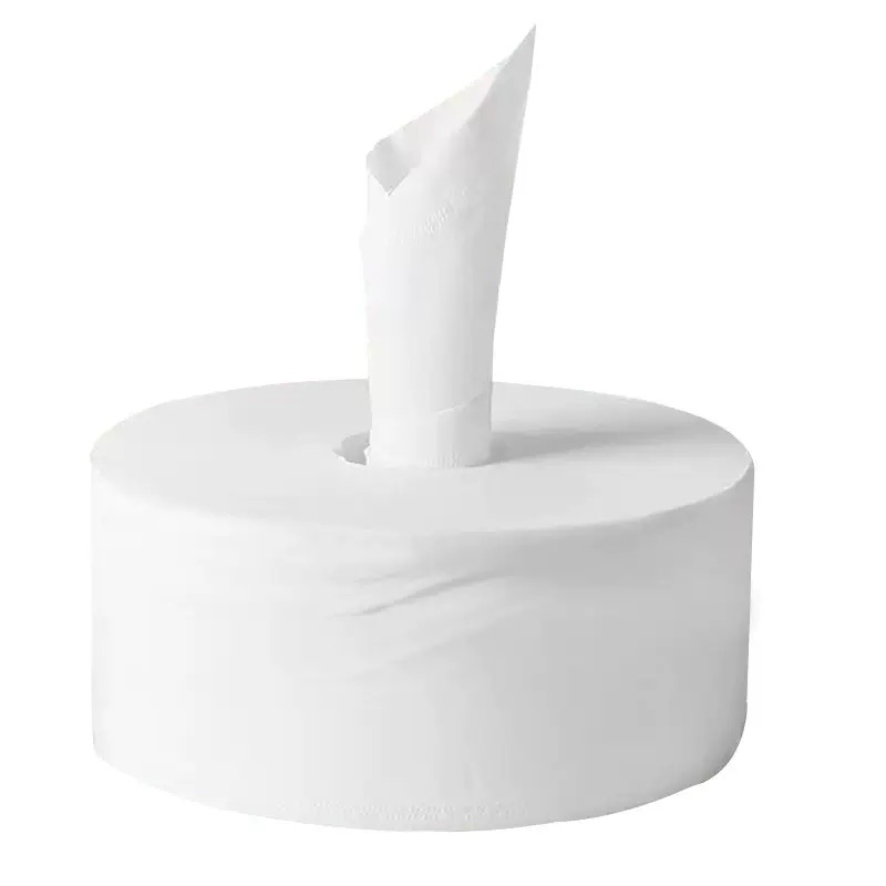 岱润 大盘纸 12盘/箱 箱 一次性纸高清大图