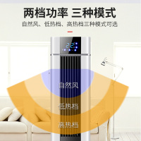 荣事达 (Royalstar) SG-208R 遥控塔式暖风机取暖器/电暖器/电暖气