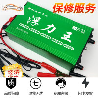 正品浮力吸浮王升压器电子机头大功率大管12v电瓶省电源转换器噐 豪华版668000