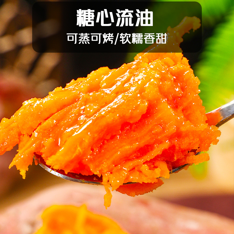 冠町 福建六鳌蜜薯烤红薯 新鲜蔬菜地瓜甜薯