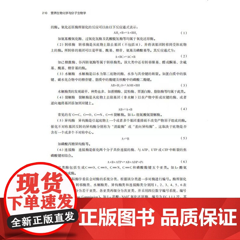 教材.营养生物化学与分子生物学高等学校食品营养与健康专业教材/中国轻工业十四五规划教材吕欣主编出版年份2024年最新印刷高清大图