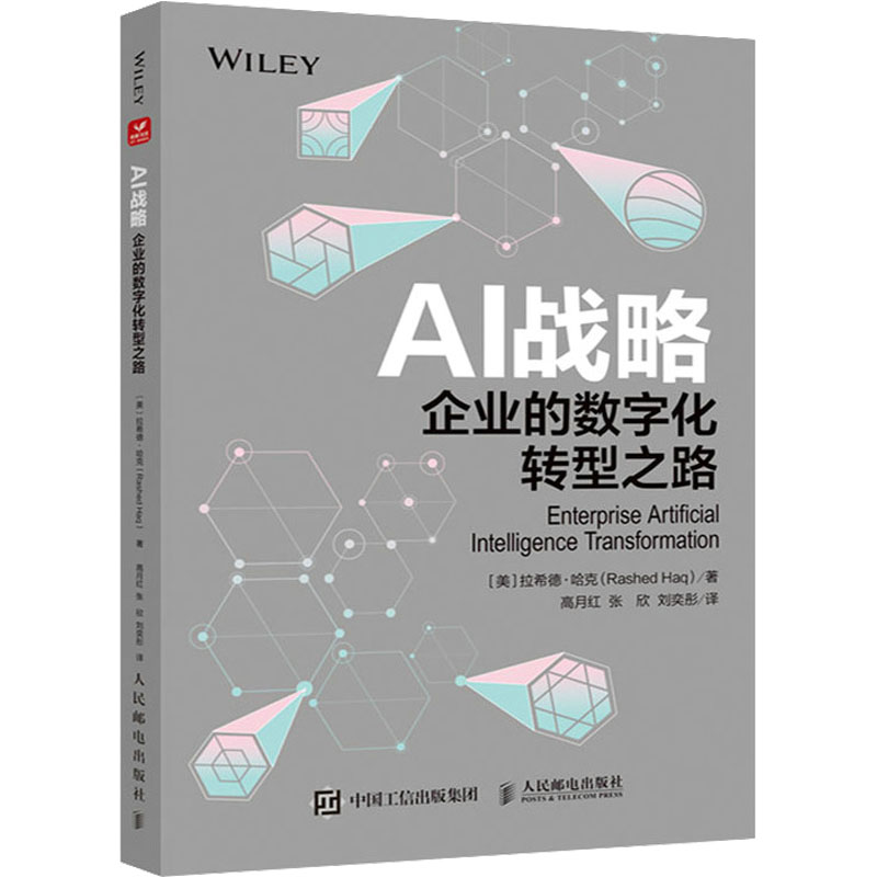 正版新书]AI战略 企业的数字化转型之路(美)拉希德·哈克97871156高清大图