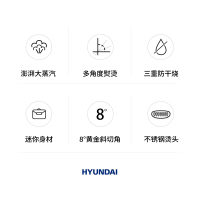 韩国现代手持挂烫机家用小型便携式电熨斗迷你烫斗蒸汽刷旅行熨烫机/三档樱花粉