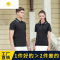 FISH BASKET男女翻领POLO衫T恤工作服定制DY工衣广告文化衫订做短袖印字LOO