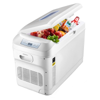 闪电客车载冰箱小型车家两用12V-24V专用汽车大货车冷藏箱恒温箱
