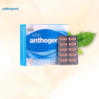 [三倍提纯花青素]Anthogenol 月光宝盒 葡萄籽 100片/盒 澳洲进口 片剂