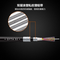 博扬（BOYANG）BY-GYTA53-48B1.3重铠地埋48芯单模室外光缆GYTA53层绞式直埋光纤2000米/轴办