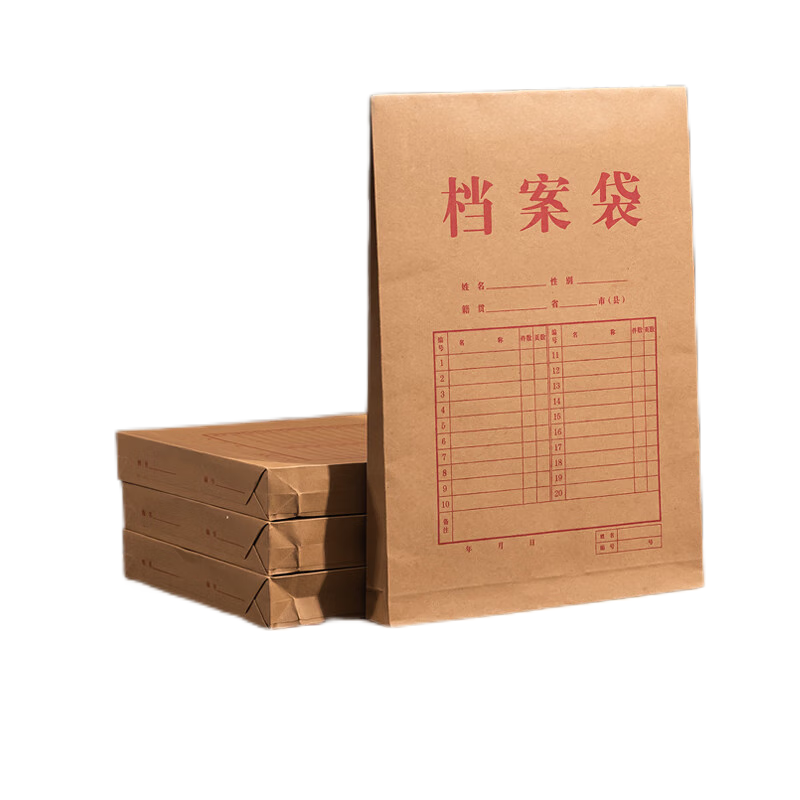 得力(deli) 10只A4混浆牛皮纸档案袋 礼品袋侧宽3cm文件资料袋 文件保护票据收纳 PP411