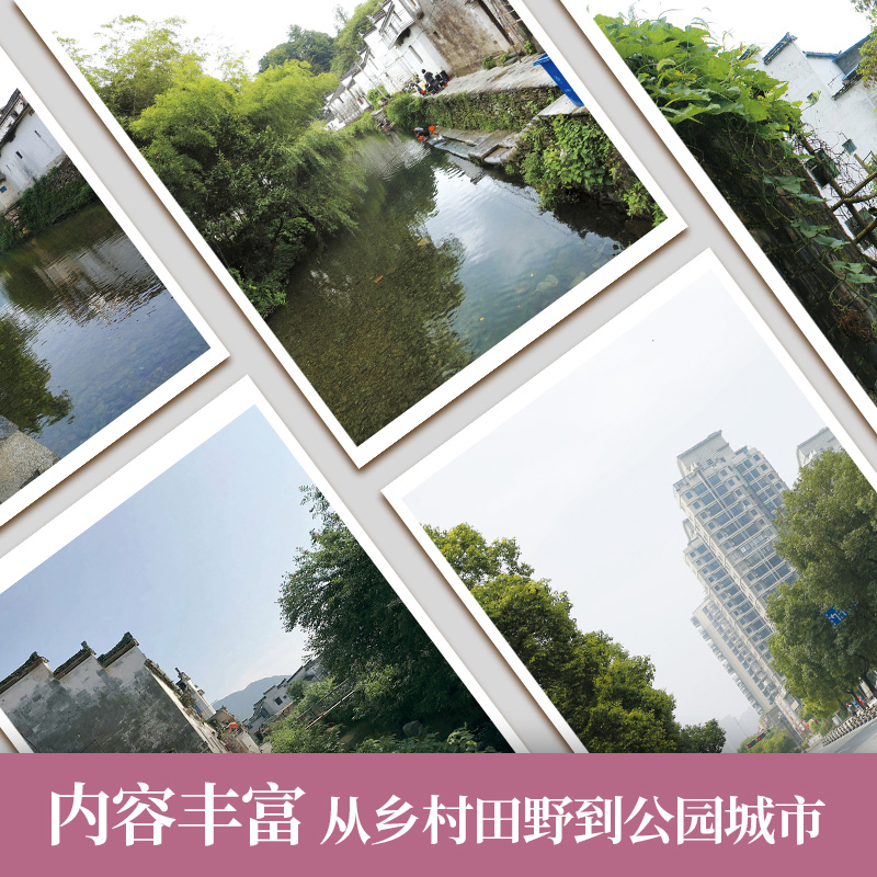 [醉染正版]2022风景照片临摹卡64幅 素描水粉画零基础入门色彩风景照片高清拍摄摄影美术绘画素材初学者教程沐尚文化高清大图