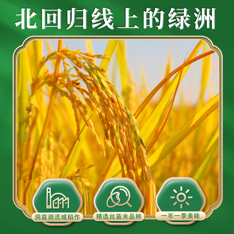 隆平芯米袁谷(南国丝苗)5kg高清大图