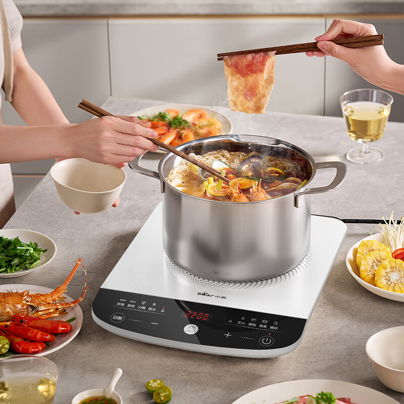 小熊(Bear)电磁炉 家用大功率2000W 火锅炉 电磁灶 智能定时电灶防水[ZMD安心系列] DCL-D22N5高清大图