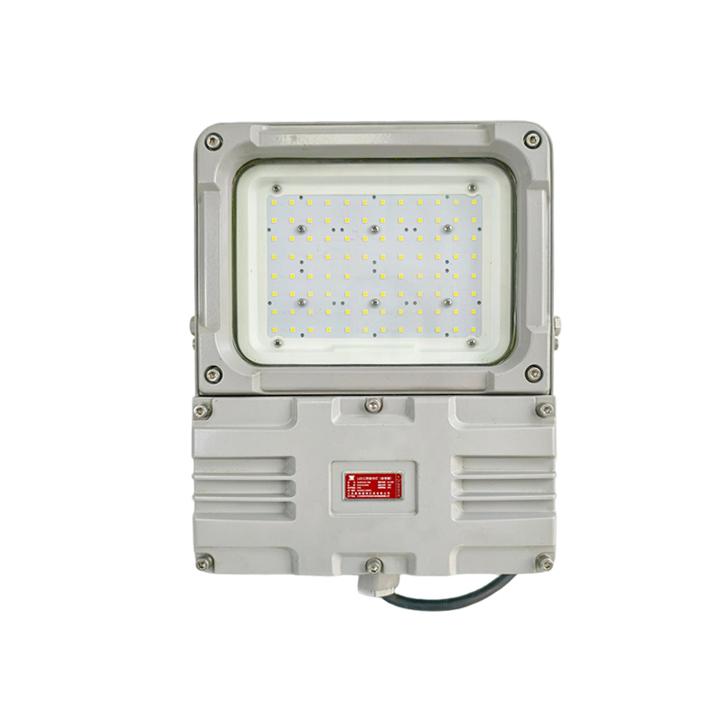 OHUIZAOMIN LED三防投光灯(含安装) OHSF9193-70W 个