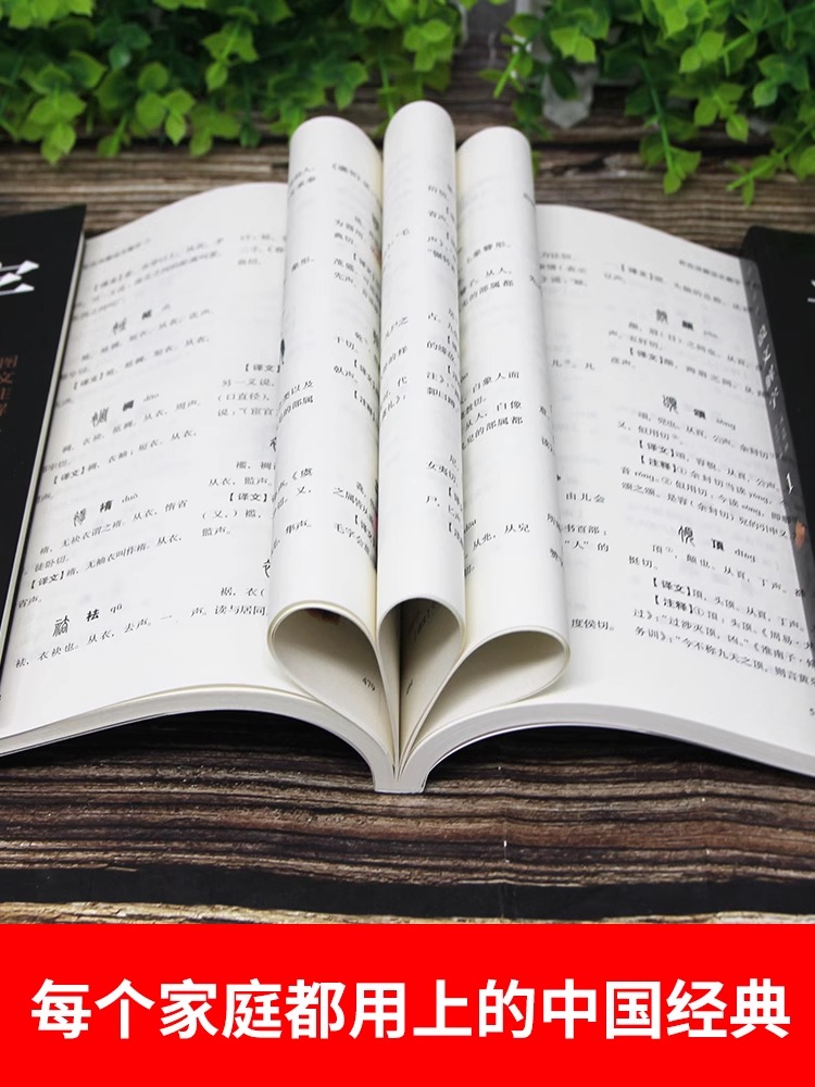 [正版]说文解字图解汉字全5册古代汉语字典古文字字典咬文嚼字细说汉字的故事图解图解详析今释全版说文解字大全集注解国学经高清大图