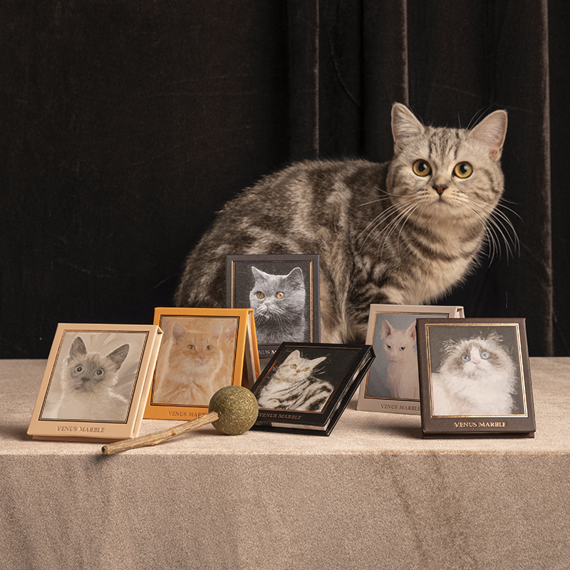 VENUS MARBLE 猫系列眼影盘 月光石的亲密