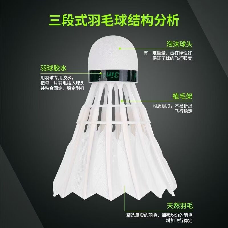 得力deli羽毛球耐打娱乐鹅毛只装稳定防风12比赛训练专用 6只装 1筒 [飞行稳定]F2201羽毛球 1筒高清大图
