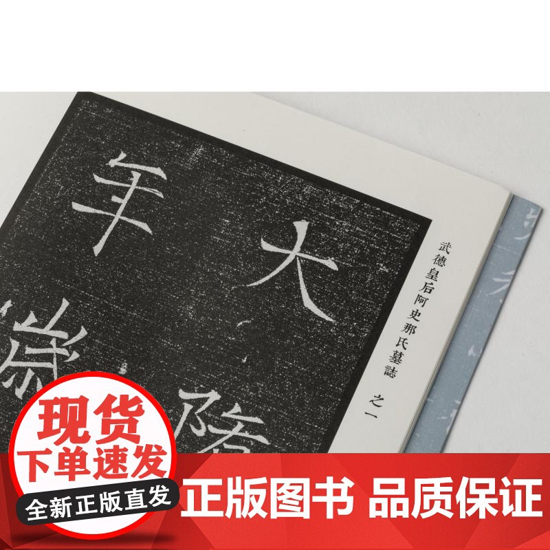 隋代墓志精粹一武德皇后阿史那氏王升乙弗明郑祁耶萧妙瑜张宪卿张振妻韦氏解方保刘豪杜佑 本社编上海书画出版社精选书法资料鉴赏高清大图