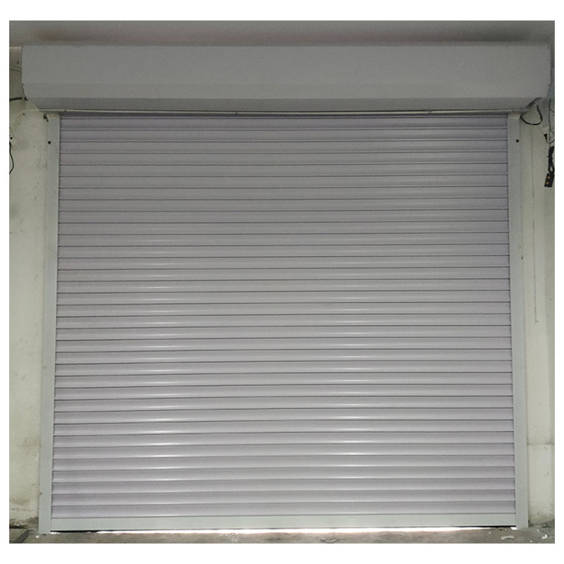 瑞吉君 电动卷帘门 BXZ-RJ1095 平方米高清大图