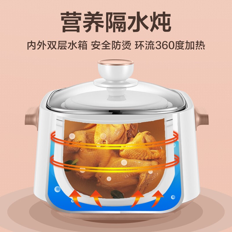 苏泊尔 (SUPOR) 电炖锅大容量 隔水炖电炖锅燕窝隔水电炖盅全自动家用多功能陶瓷BB煲汤锅煮粥锅 DZ25YC828