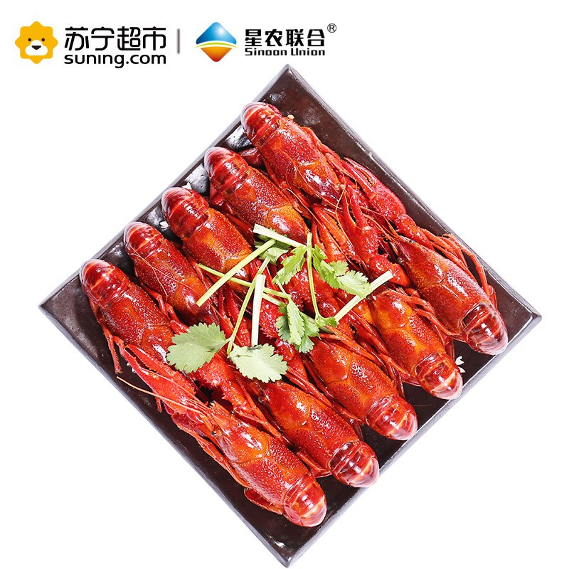 红小厨小龙虾十三香4-6钱 34-50只1.8kg