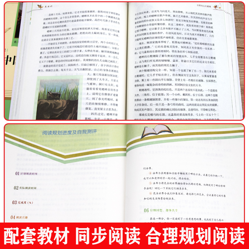 [全5本]八上 选读名著 [正版]原著 红星照耀中国 昆虫记 人民教育出版社八年级必名著人教完整版无删减初二中学生8西行