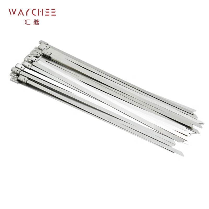 汇继 不锈钢扎带 8*500mm条高清大图