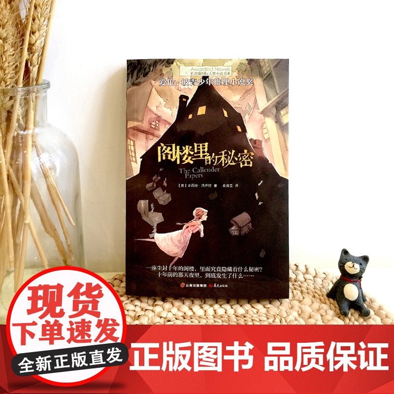 阁楼里的秘密长青藤国际大奖小说书系三四五六年级小学生课外阅读高清大图