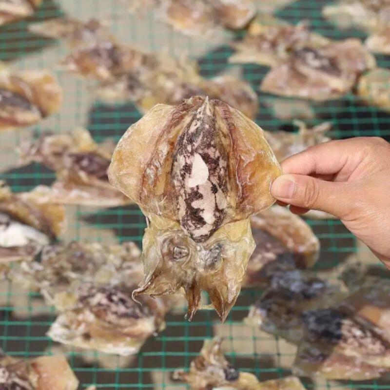 墨鱼一斤装 新鲜墨鱼干干货目鱼干鱿鱼干海产品e乌贼