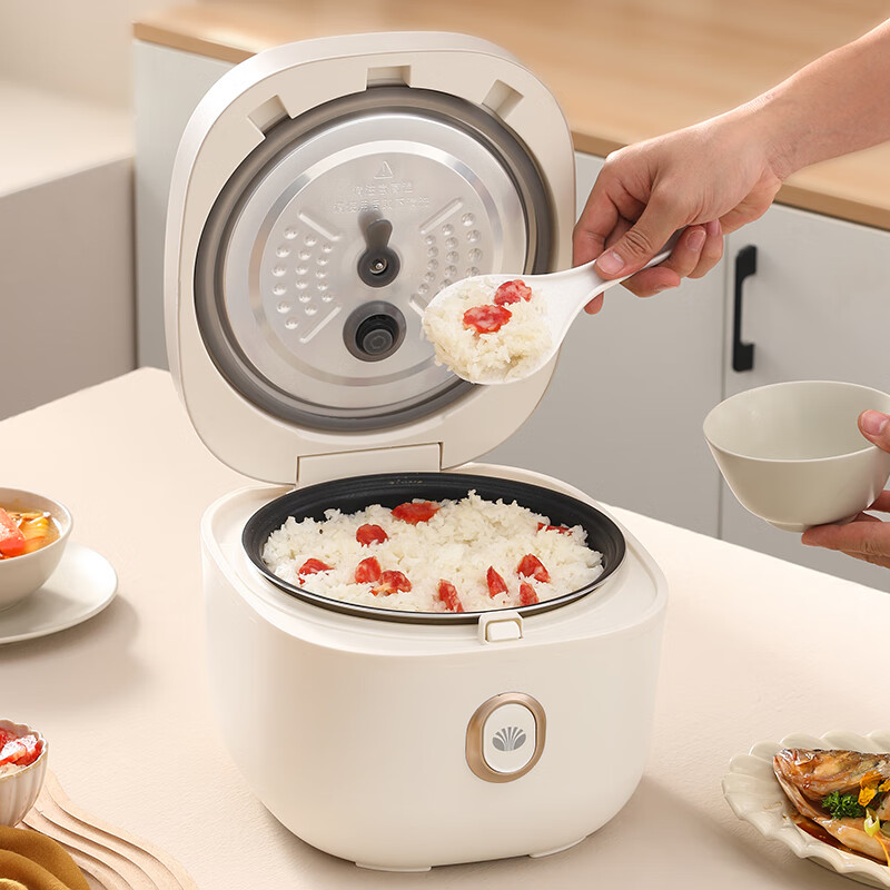 大宇(DAEWOO)4L电饭锅 DYFB-424F升级版(彩邮)高清大图