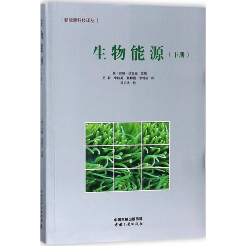 生物能源(下册)高清大图