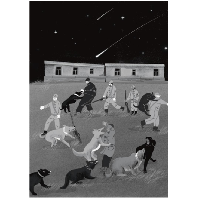 正版新书]小骑兵许廷旺9787501618248高清大图