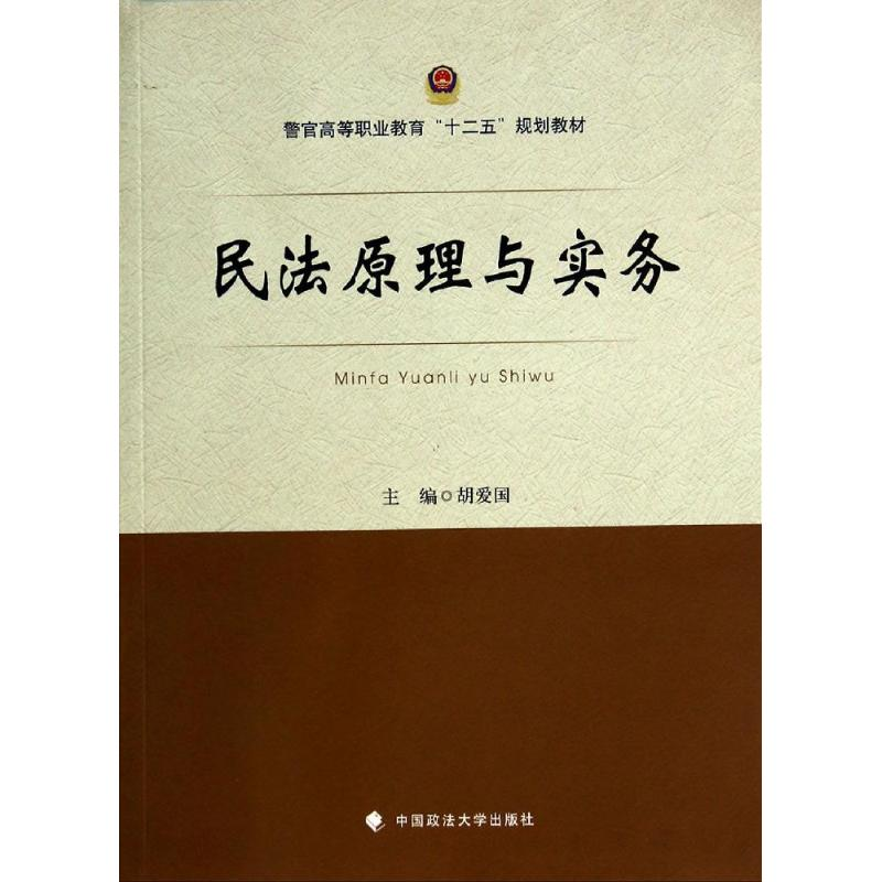 [M]民法原理与实务/胡爱国-9787562054252