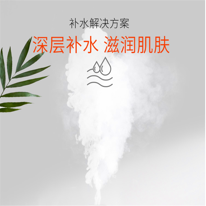 博冠361车载纳米加湿器黑色2台