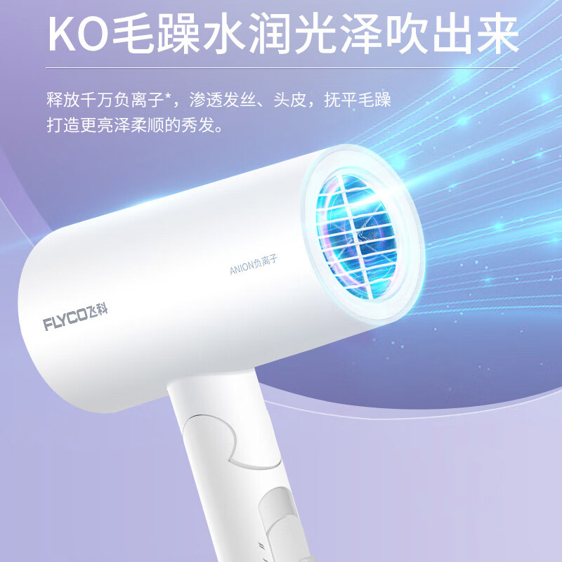 飞科吹风机FH6276高清大图