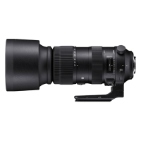 Sigma/适马60-600MM F4.5-6.3 DG OS HSM S版 长焦镜头(佳能口) 年终特惠