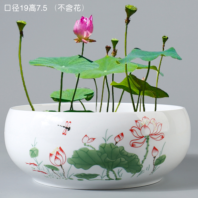 中国美術 竹根 刻 蓮花 碗 洗 13cmx9cm 文房四宝(K-LC561) bMDP4MBdyKIKkutFb_qXrg.jpg