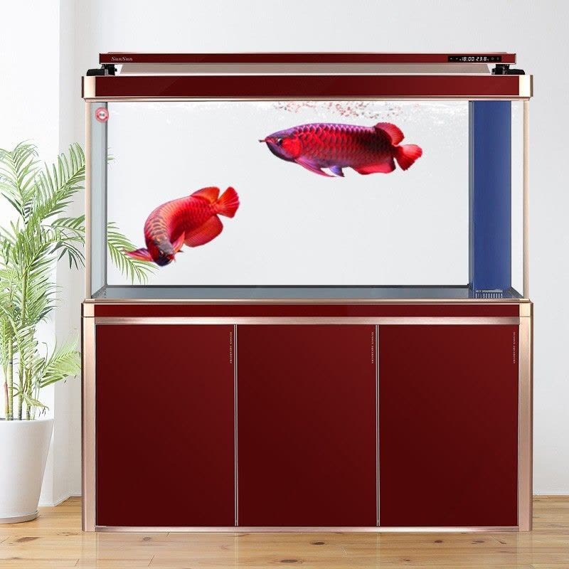 鱼缸水族箱超白玻璃客厅办公室大型底过滤生态金鱼龙鱼缸图片
