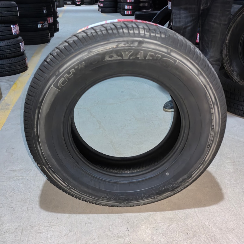 朝阳 雪地胎265/45R21 条高清大图