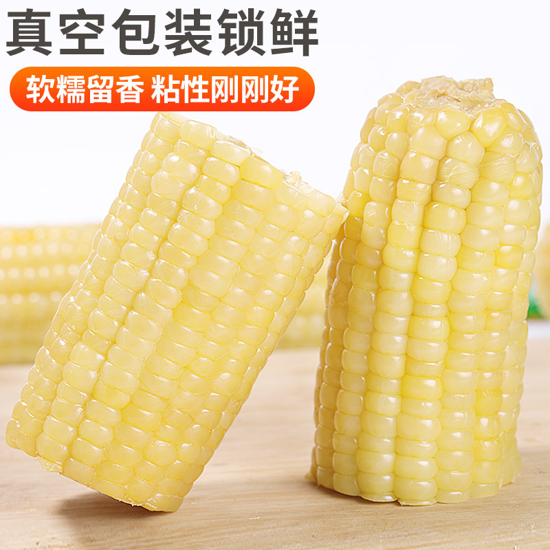 [西沛生鲜]新鲜白糯玉米 8根 单根260-350g 黏玉米甜糯玉米袋装粘玉米黄糯玉米现摘