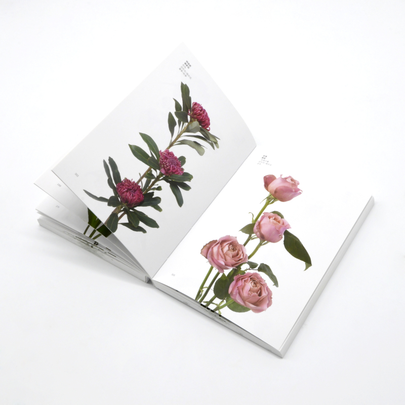 友一个正版花卉色彩搭配手册配色手册