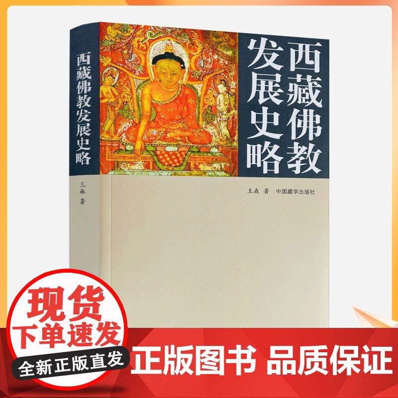 正版 西藏佛教发展史略 王森/著 中国藏学出版社高清大图