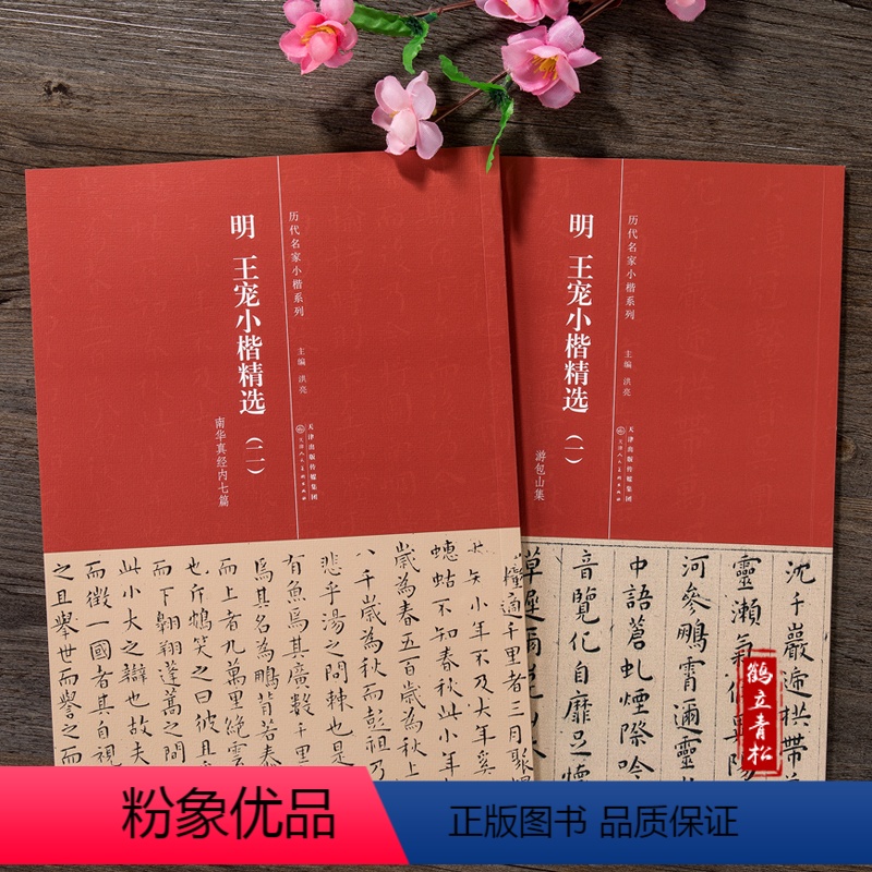 [正版]共2本 明 王宠小楷精选(一)(二)游包山集 南华真经内七篇 简体旁注 历代名家小楷系列 毛笔书法字帖