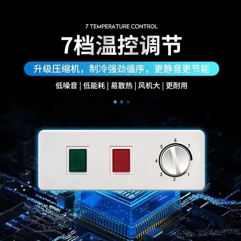 百利(BAILI)SD-100DK商用展示柜移动摆摊冰箱餐车专用冰柜商用冷冻柜三轮车摆地摊烧烤柜台面保鲜冷藏柜水果图片