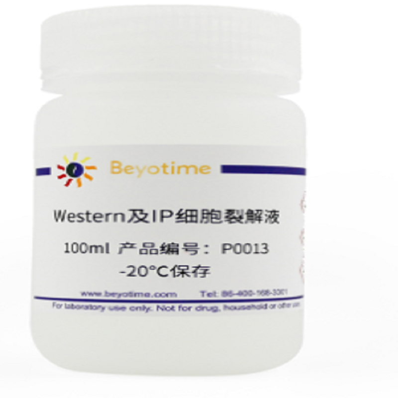 Beyotime/碧云天 Western及IP细胞裂解液 P0013-100ml 1瓶高清大图