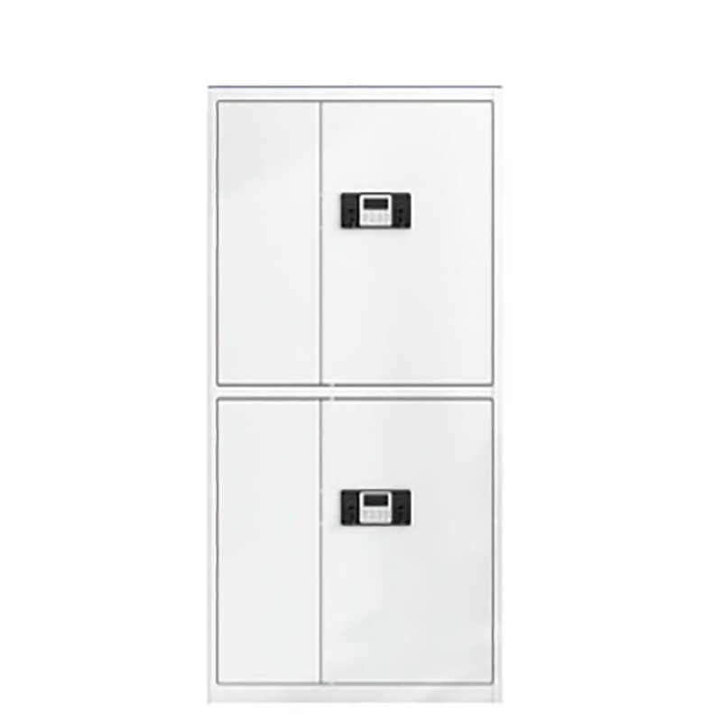 中盈惠彩 通双节保密柜 BMG-02 1850*900*420mm 个高清大图